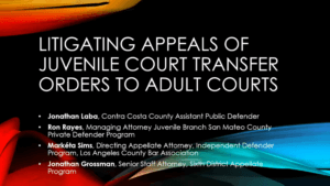 Jan. 5, 2022 – Litigating Appeals of Juvenile Court Transfer Orders to Adult Court