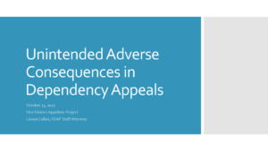 Oct. 13, 2022 - Avoiding Adverse Consequences for Your Client in Dependency Appeals